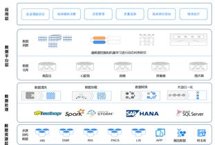 臨床大數(shù)據(jù)的醫(yī)院級數(shù)據(jù)處理 應(yīng)用基石與變現(xiàn)前奏